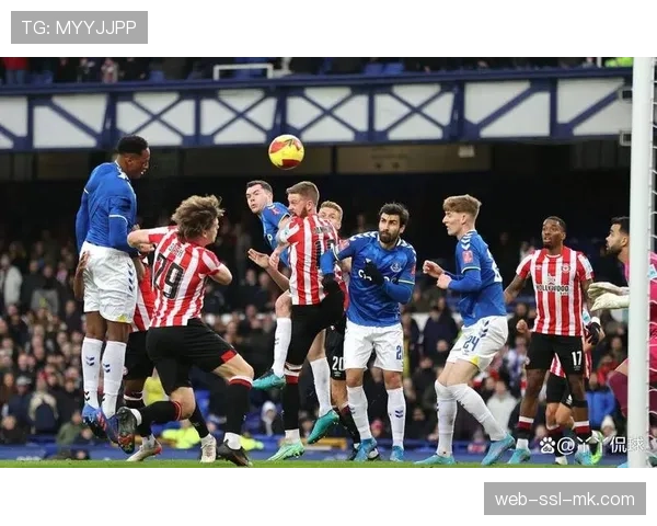 布伦特福德2-2埃弗顿，保级大战握手言和